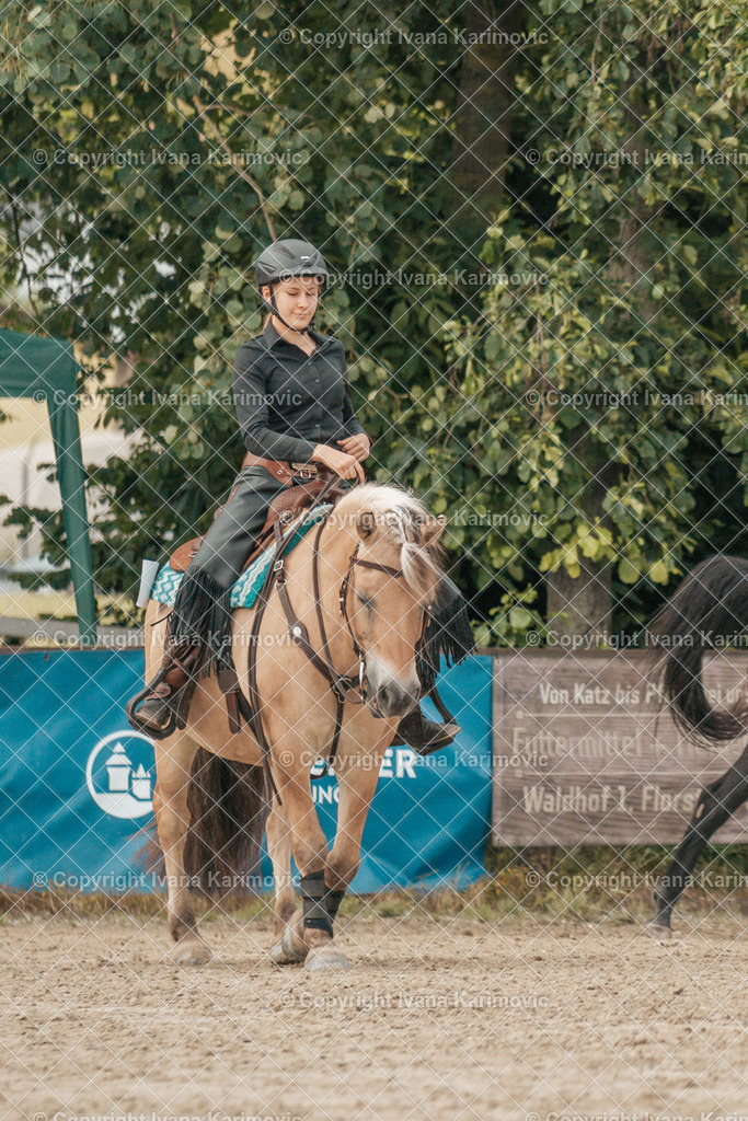 DSC01100 | ikphotography - Realisiert mit Pictrs.com