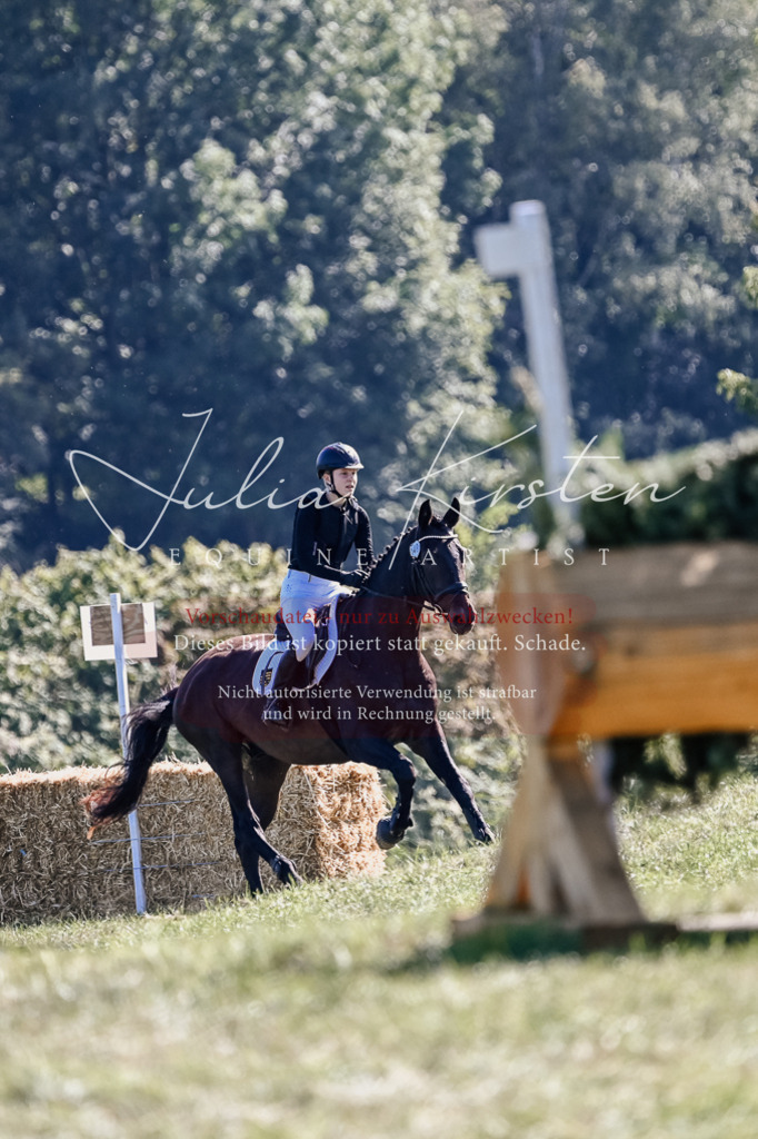 DSC_3400 | Pferde- und Turnierfotografie in Westsachsen. Pferdeportraits, Auftragszeichnungen und intuitive Kunst.