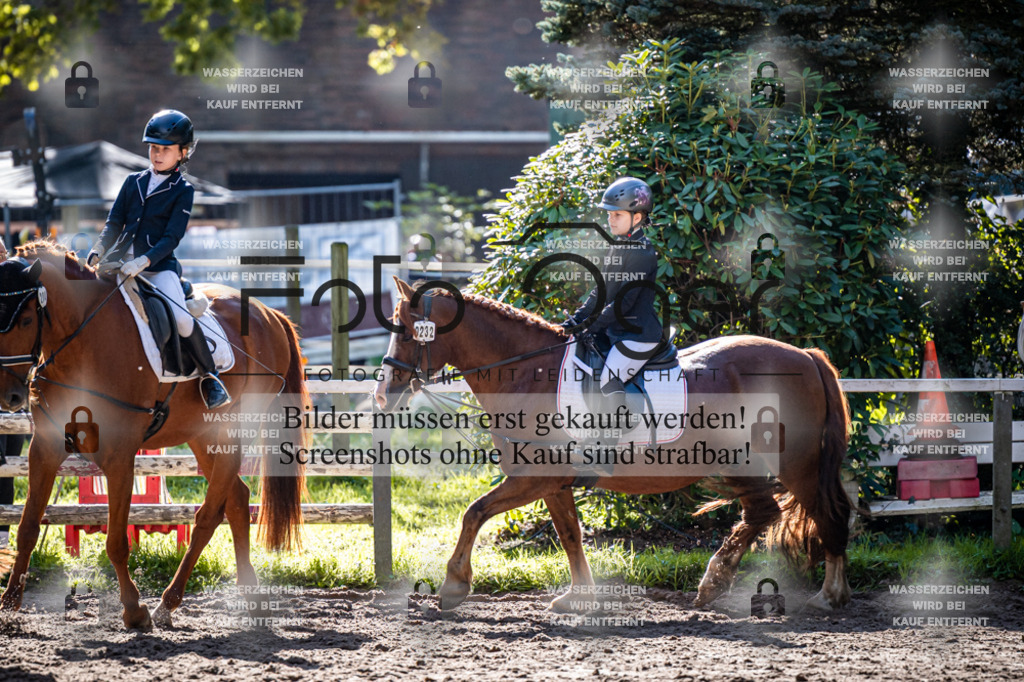 2026-10-Helle-20-4-0006 | Entdecke hochwertige Reitturnierfotos von Foto Oger. Professionell, emotional und authentisch – jetzt Lieblingsmomente im Shop bestellen.Deutschlandweite Turnierfotografie. - Realisiert mit Pictrs.com