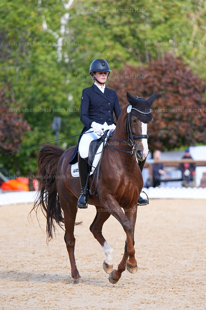 09_2-163-DRESSUR  S_  -Marixx-5934 | working equitationturnier fotograf videograf stoibphotography marixx film working equitation deutschland reitsport turnierfotografie eventfotografie equestrian events