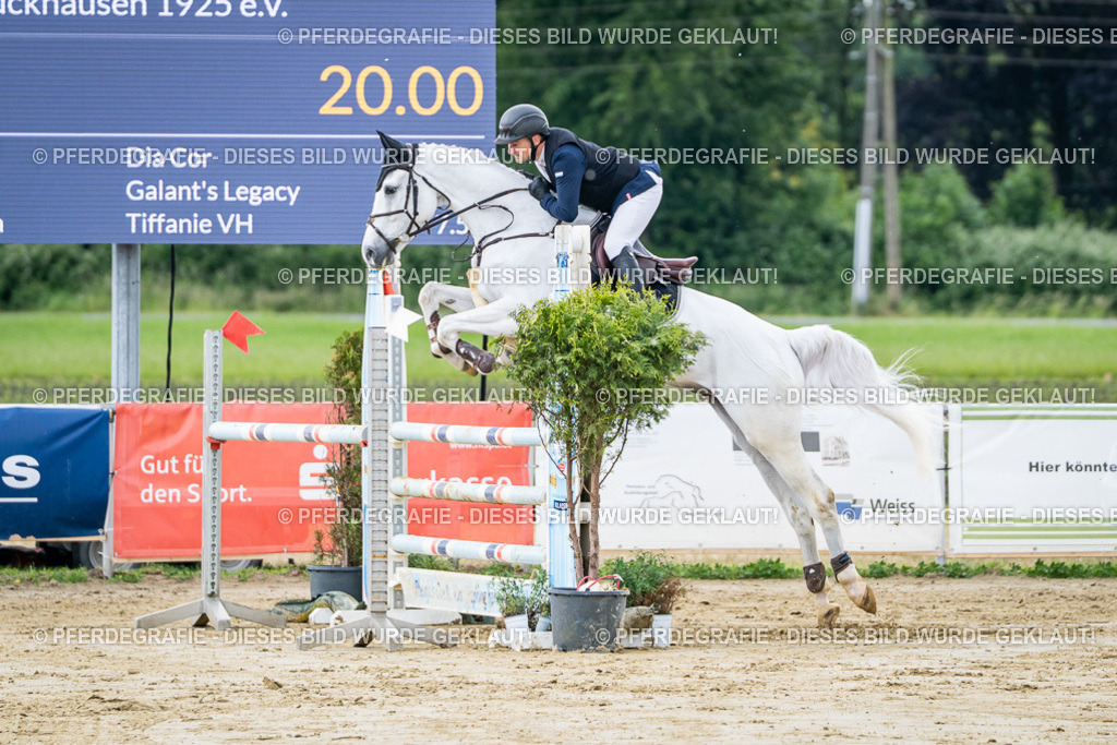 DSC04238 | Pferdegrafie