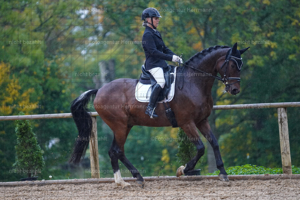 20221008-FAH02096 | Diessen am Ammersee, 2022, Dressur- und Springturnier, Reitsportbilder, Turnierfotografen Bayern, Pferdefotografen, Fotoagentur Herrmann, Turnierbilder