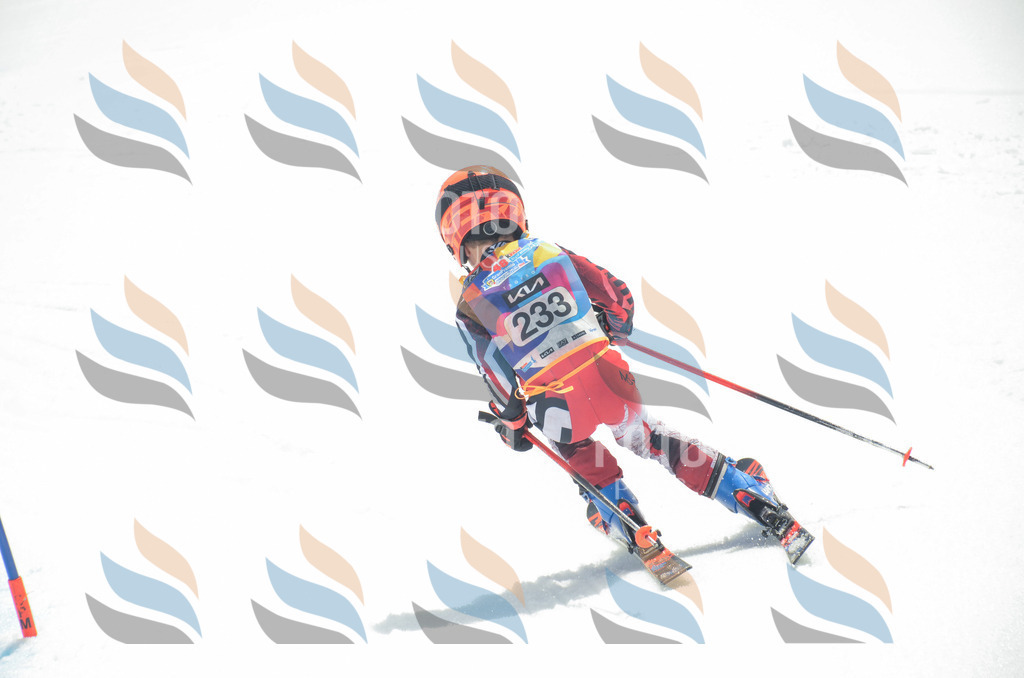 _ELE7340 | holidayphoto