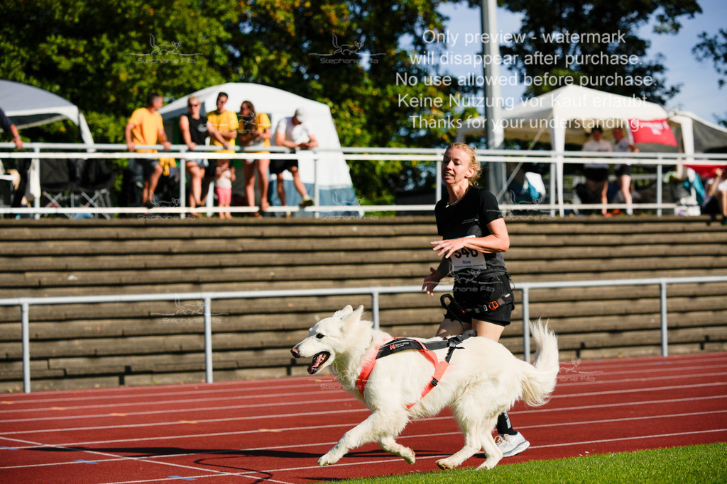 Sonntag_Staffel (100 von 336) | stephaniefillaphotographie - Realisiert mit Pictrs.com