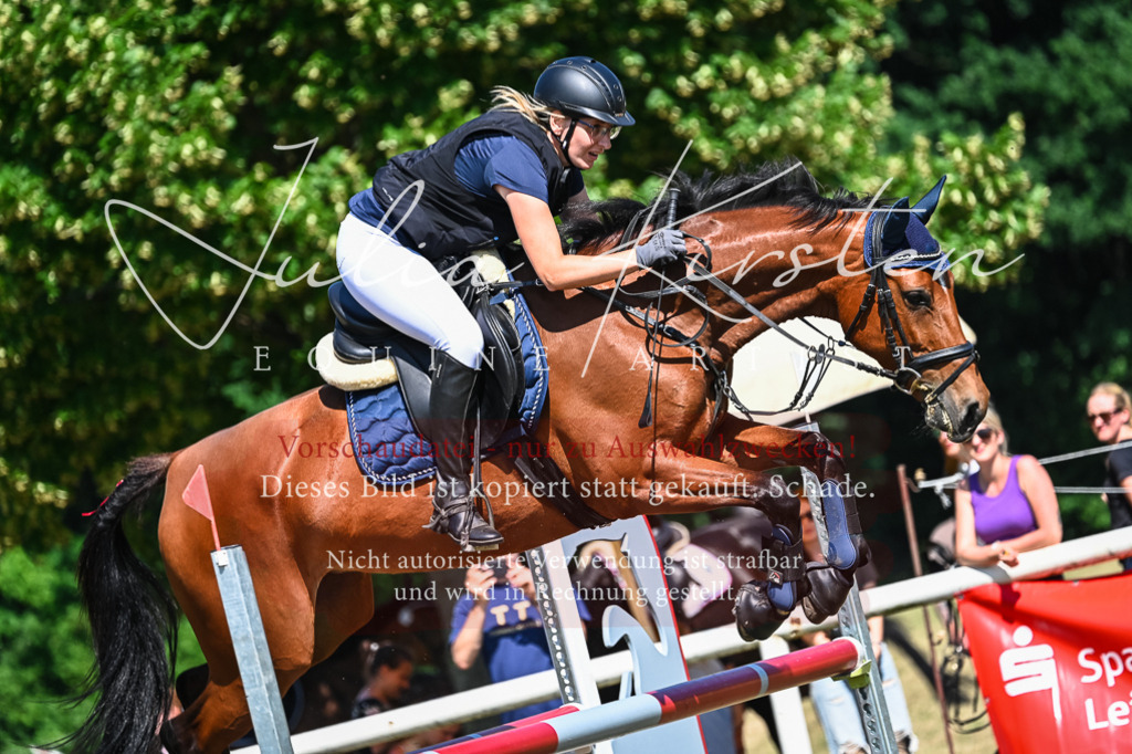 DSC_1448 | Pferde- und Turnierfotografie in Westsachsen. Pferdeportraits, Auftragszeichnungen und intuitive Kunst.
