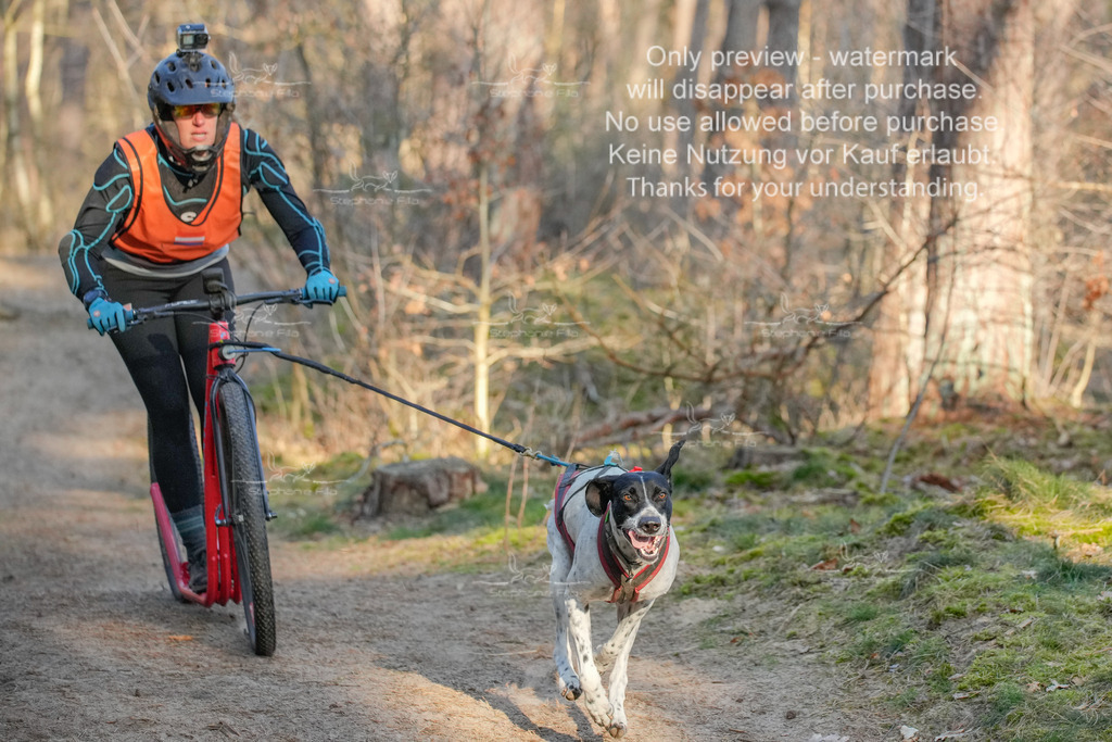 Sa_Scooter-11 | stephaniefillaphotographie - Realisiert mit Pictrs.com