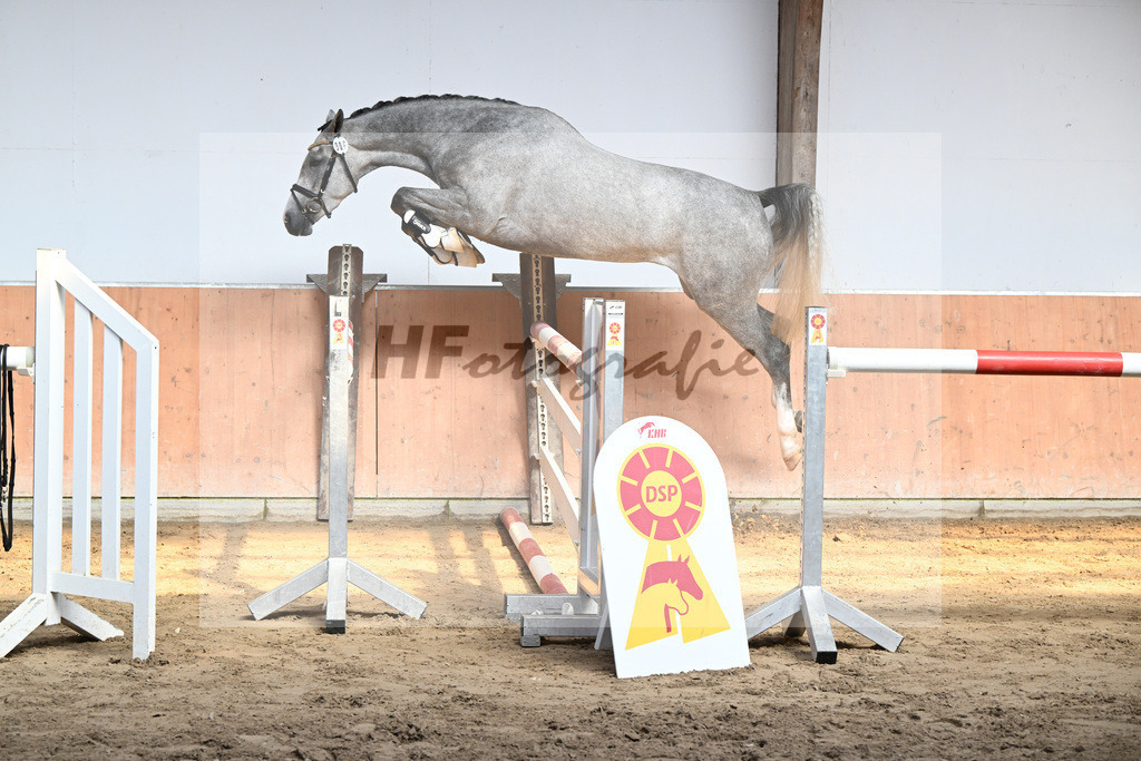 Kat-Nr. 6 La Traviata_Schindele_36230044 | hf-fotografie - Realisiert mit Pictrs.com