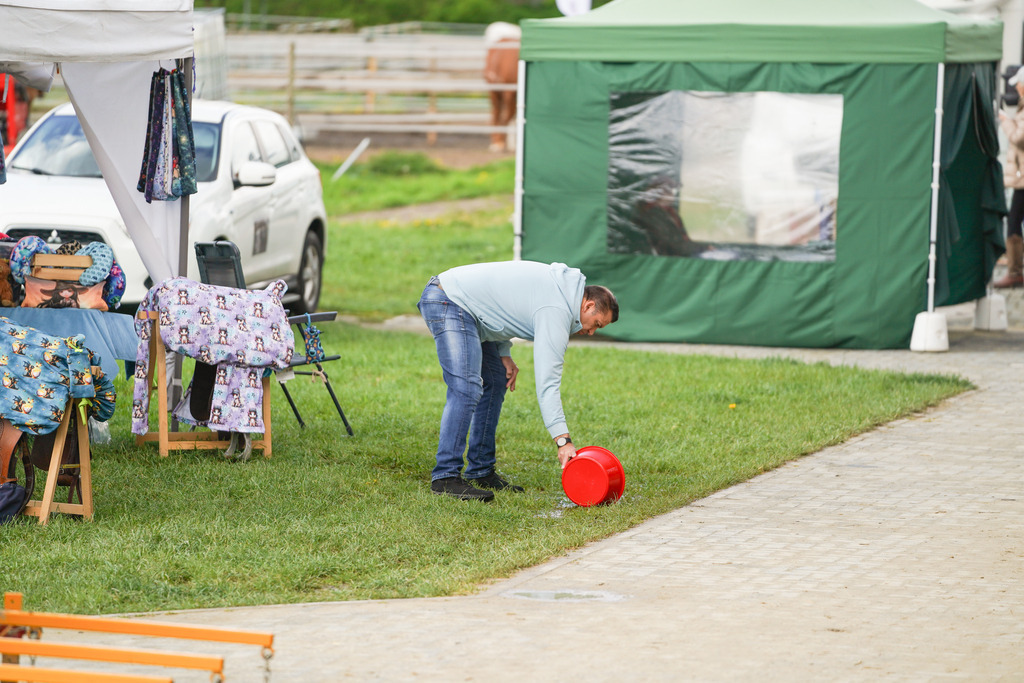 DSC03658 | Pferdegrafie