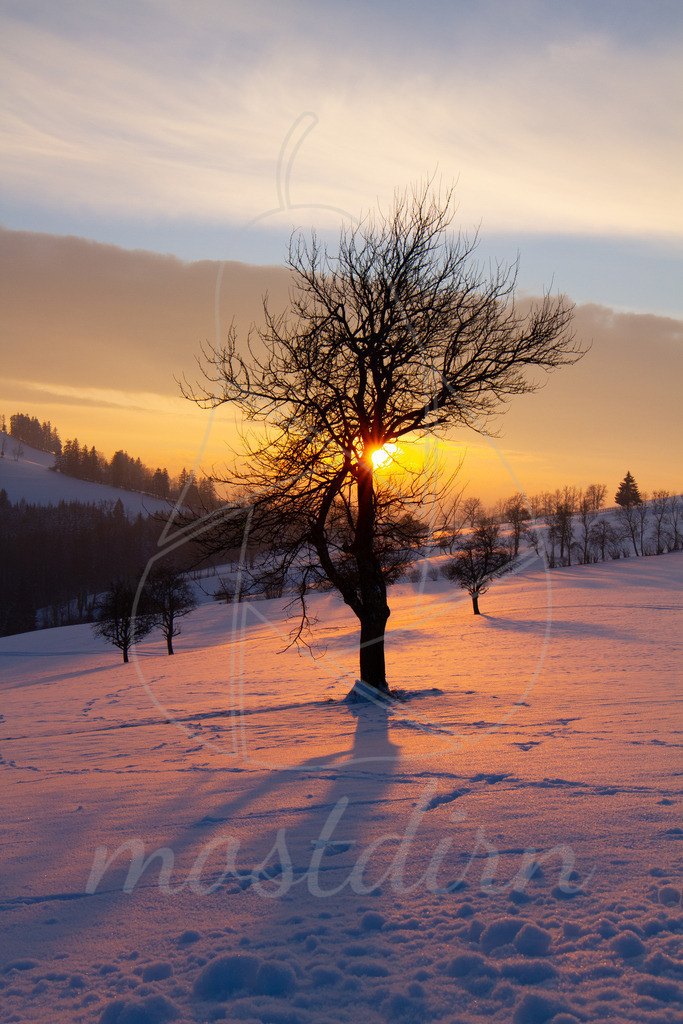 Wintersonne Panoramahöhenweg | Bei Veröffentlichung des Bildes ist eine Namensnennung wie folgt erforderlich: 
Foto: Mostdirn Irmgard Wieser - Realisiert mit Pictrs.com