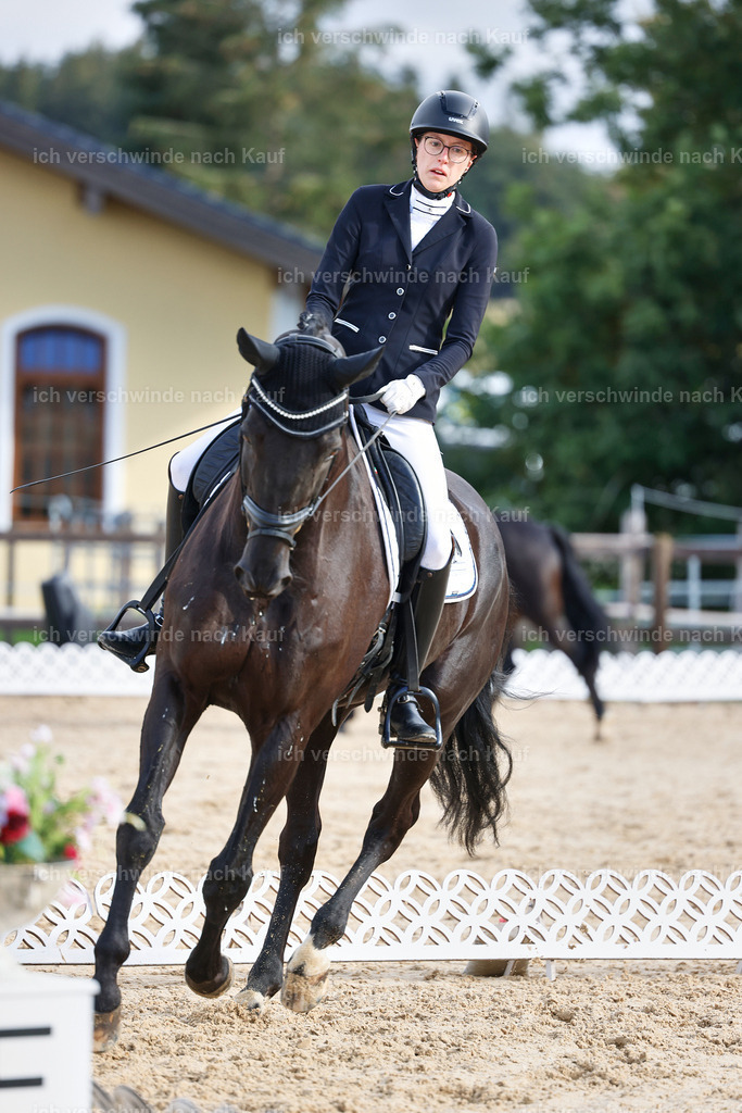 02-108-DRESSUR L_  -StoibPH-4737 | working equitationturnier fotograf videograf stoibphotography marixx film working equitation deutschland reitsport turnierfotografie eventfotografie equestrian events