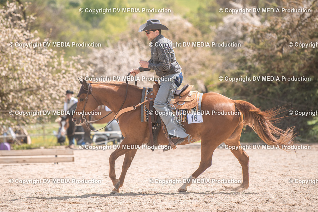 Balingen Tag 3-498 | dv-media-shop - Realisiert mit Pictrs.com