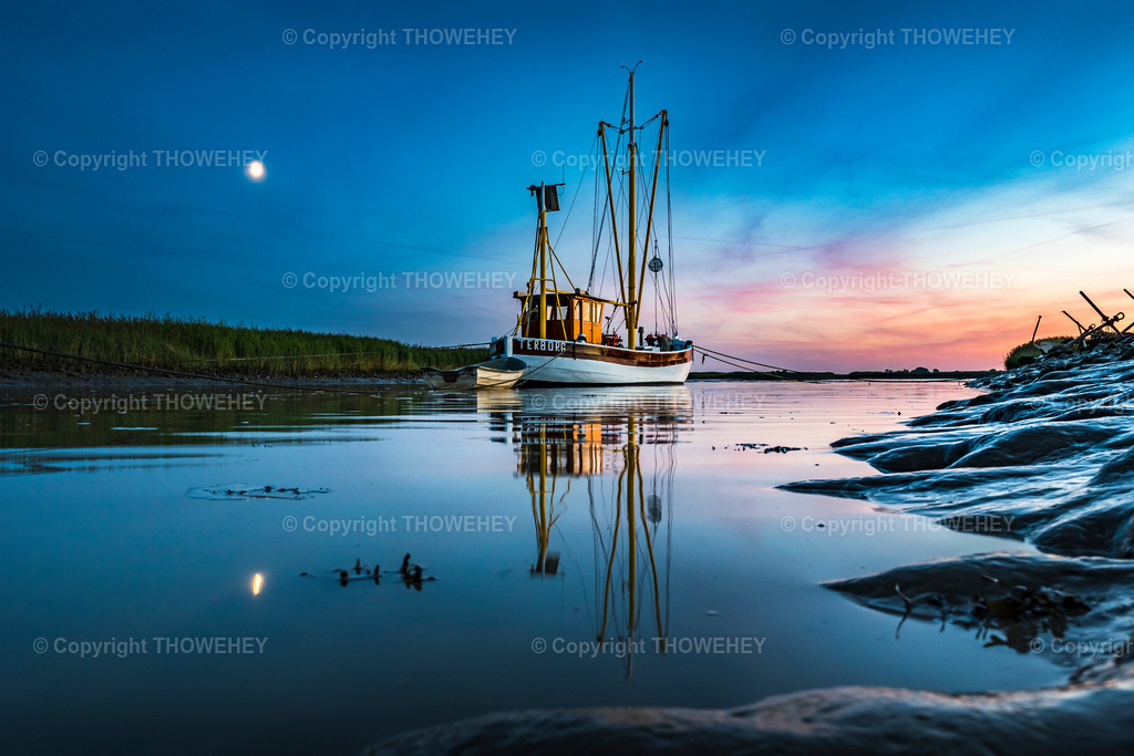 _1004161 | thowehey - Realisiert mit Pictrs.com