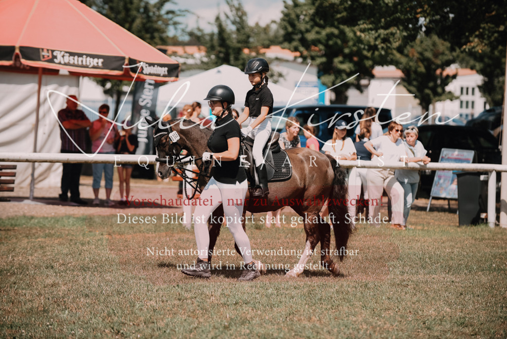 DSC_6091 | Pferde- und Turnierfotografie in Westsachsen. Pferdeportraits, Auftragszeichnungen und intuitive Kunst.
