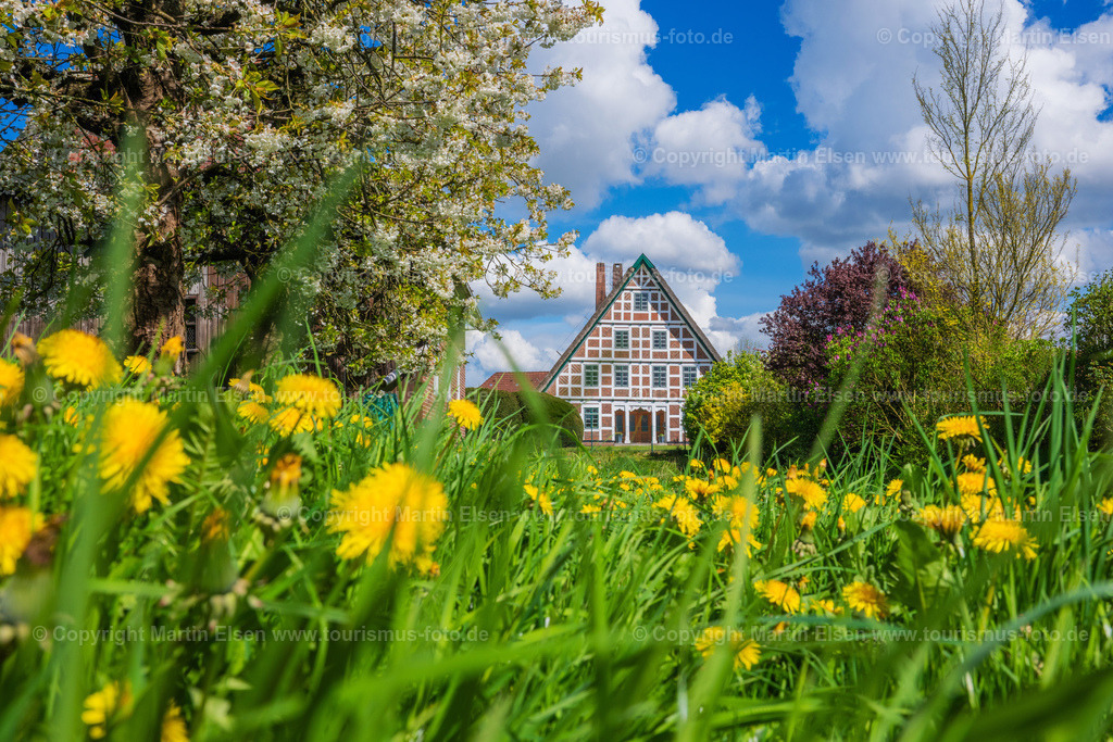 Jork Obst Blüte Fachwerk_ELS_2916170424 | Fotos aus den Touristenorten aus Norddeutschland. - Realisiert mit Pictrs.com