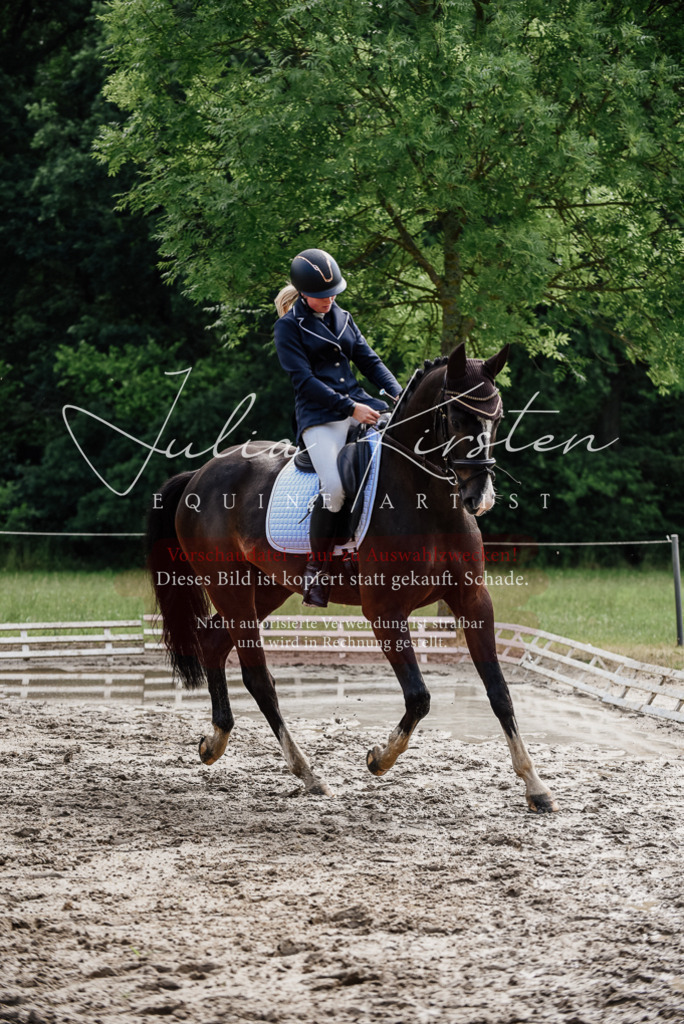 DSC_0073 | Pferde- und Turnierfotografie in Westsachsen. Pferdeportraits, Auftragszeichnungen und intuitive Kunst.