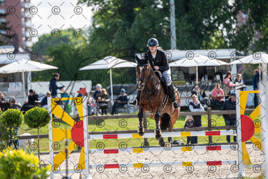 KPT_4599 | andre_photographic