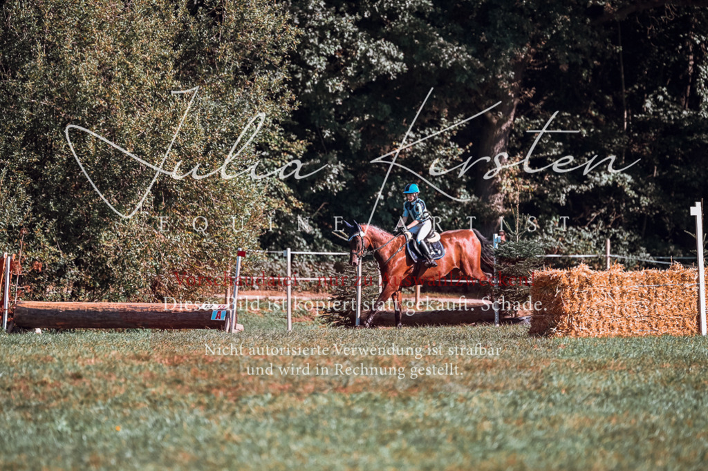 DSC_0822 | Pferde- und Turnierfotografie in Westsachsen. Pferdeportraits, Auftragszeichnungen und intuitive Kunst.