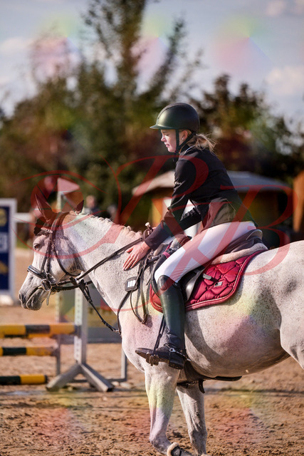 2026_10_03_Siefer-Hof_155205_Z81_72051271 | Professionelle Reitsport-, Turnier- und Eventfotografie von Robert Broda. Galerien mit ausgewählten und bearbeiteten Bildern direkt online ansehen und bestellen.