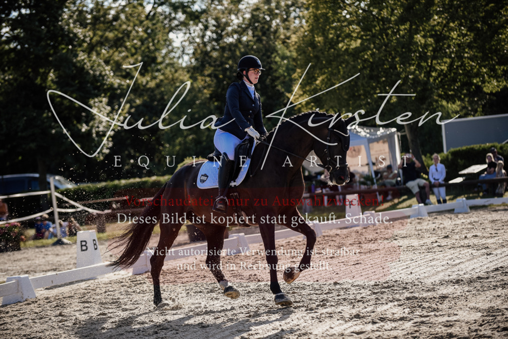 DSC_0568 | Pferde- und Turnierfotografie in Westsachsen. Pferdeportraits, Auftragszeichnungen und intuitive Kunst.