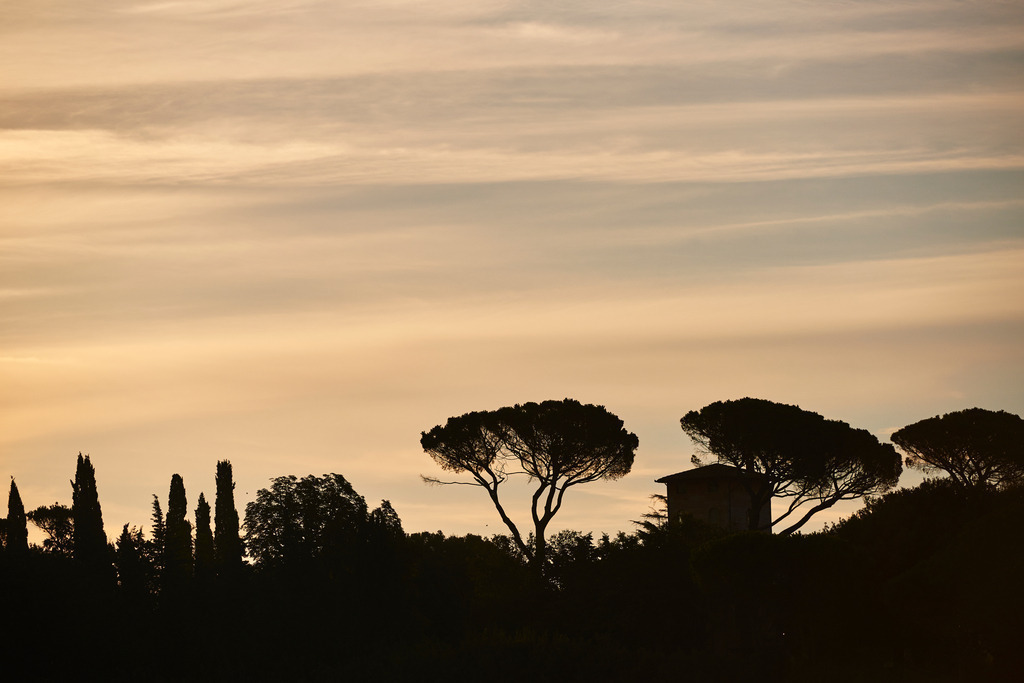 Silhouetten Landschaft in Umbrien | Pozzuolo, Italien - September 04, 2016: Silhouetten Landschaft mit Pinien und Haus in Umbrien. - Realisiert mit Pictrs.com