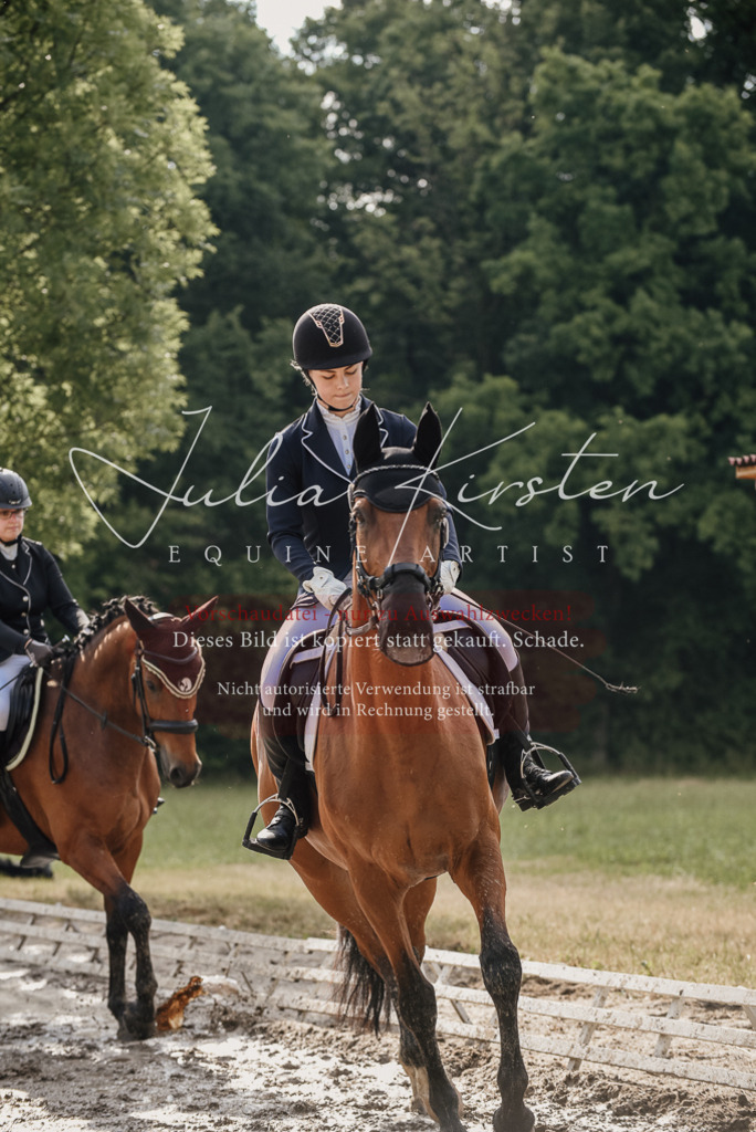 DSC_8455 | Pferde- und Turnierfotografie in Westsachsen. Pferdeportraits, Auftragszeichnungen und intuitive Kunst.