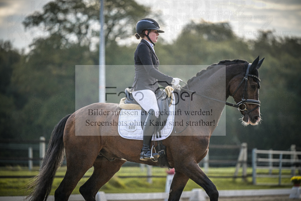DOS_3765 | Entdecke hochwertige Reitturnierfotos von Foto Oger. Professionell, emotional und authentisch – jetzt Lieblingsmomente im Shop bestellen.Deutschlandweite Turnierfotografie. - Realisiert mit Pictrs.com