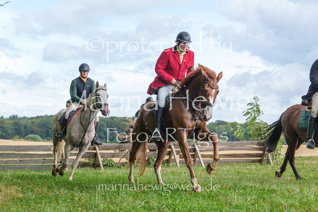 Jagd Knoop 26_MarinaHewigMCH02619 | Fotografie, FotoArt, PferdesportArt, Pferdesportfotografie, Landschaftsfotografie, Reisefotografie, Reise, Pferde - Realisiert mit Pictrs.com