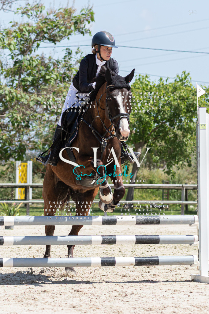 IMG_0485 | s-jay-photography - Realisiert mit Pictrs.com