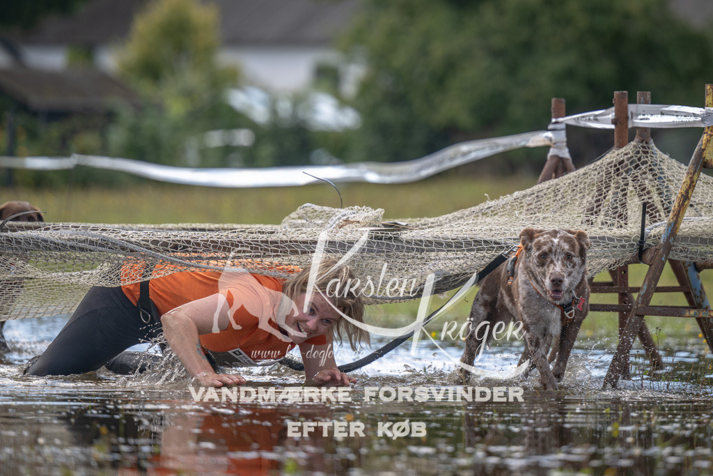 1305_ZZ90495 | kk-dogfotos