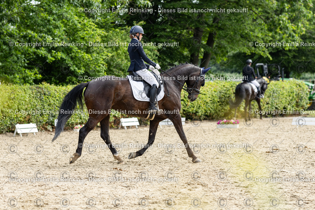 CL5A5410 | Emilia Reinking Fotografie - Realisiert mit Pictrs.com