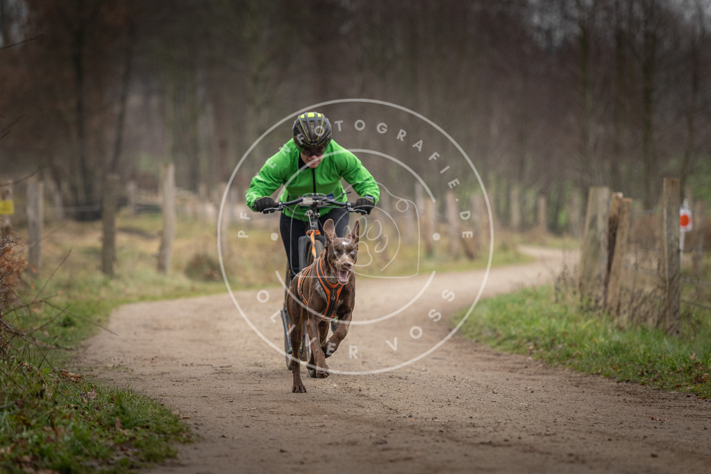 Pfotenfotografie_DV3A2349 | Hundefotografie, Tierfotograf, Pfotenfotografie, Fotoshooting Hund, Hunde Portrait, Hundesport, Hundeportraits, Heideshooting, Hunde, Sportfotograf, Hundefotograf, Turnierhundsport, THS,  - Realisiert mit Pictrs.com