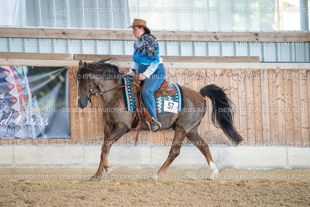 DSC03628 | Pferdegrafie