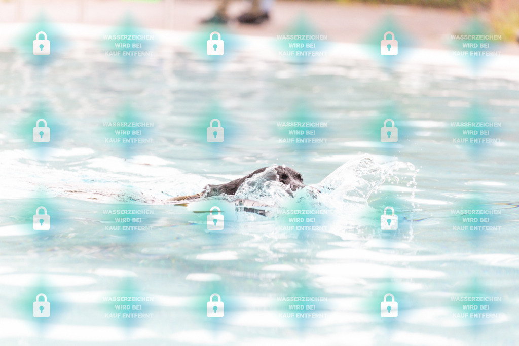 _HP_7333_1000o | HetPix, HetPix Fotodesign, Fotografie, Fotodesign, Webshop, Sportfotografie, Portraitfotografie, Onlineshop, Sportfotografie, Polch, Motorsportfotografie, Eventfotografie