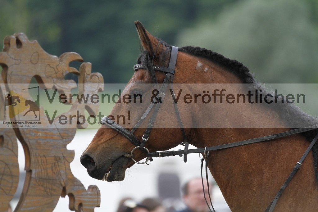 _MG_4397 | equestrian-live-com
