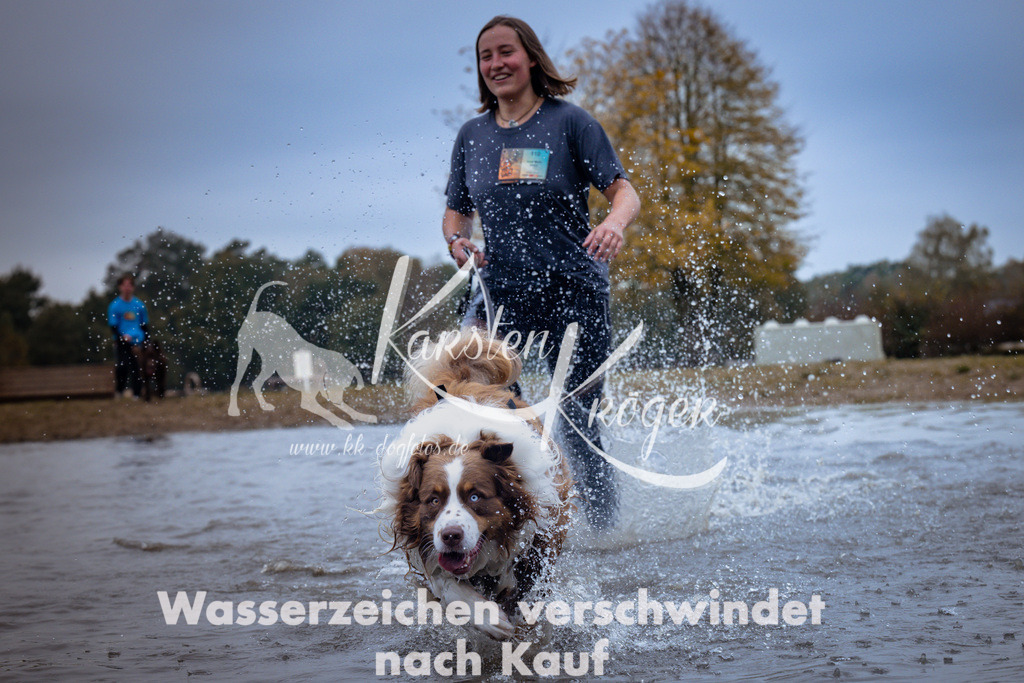 1228_ZZ99985 | kk-dogfotos