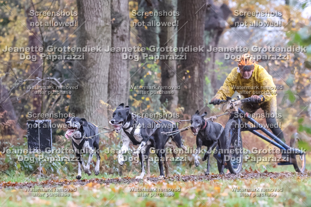 Dog Paparazzi - Ströhen 25-24 | Dog Paparazzi Jeanette Grottendiek Fotografie & Videografie - Realisiert mit Pictrs.com