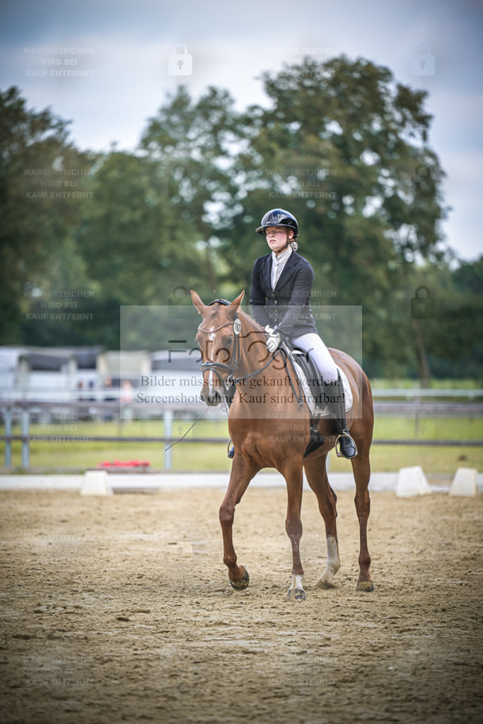 DOS_2508 | Entdecke hochwertige Reitturnierfotos von Foto Oger. Professionell, emotional und authentisch – jetzt Lieblingsmomente im Shop bestellen. - Realisiert mit Pictrs.com