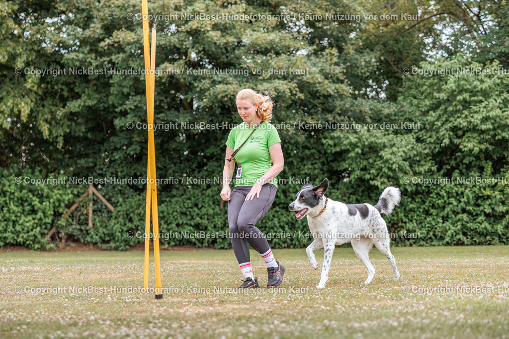 THS-Quakenbrück-2026-Nickbest-Hundefotografie-4394 | Dein Hund! Dein Moment! Deine Erinnerungen! Hundefotografie in Bremen Blumenthal. Ich fange die besonderen Momente deines Vierbeiners ein – ob Indoor mit Blitzanlage oder in der freien Natur. Sicher dir dein Moment und dein Termin für eure Erinnerungen.