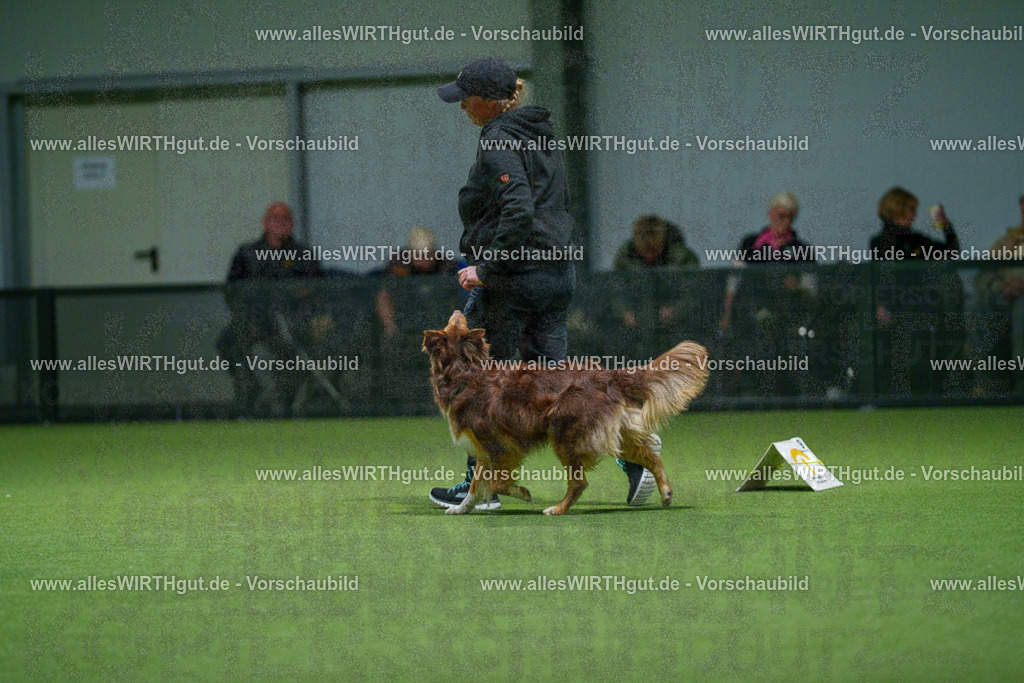 7R507247 | Professionelle Tierfotografie in Mönchengladbach von Daniel Wirth (allesWIRTHgut). Liebevolle & natürliche Bilder von Hunden & Katzen für unvergessliche Erinnerungen.