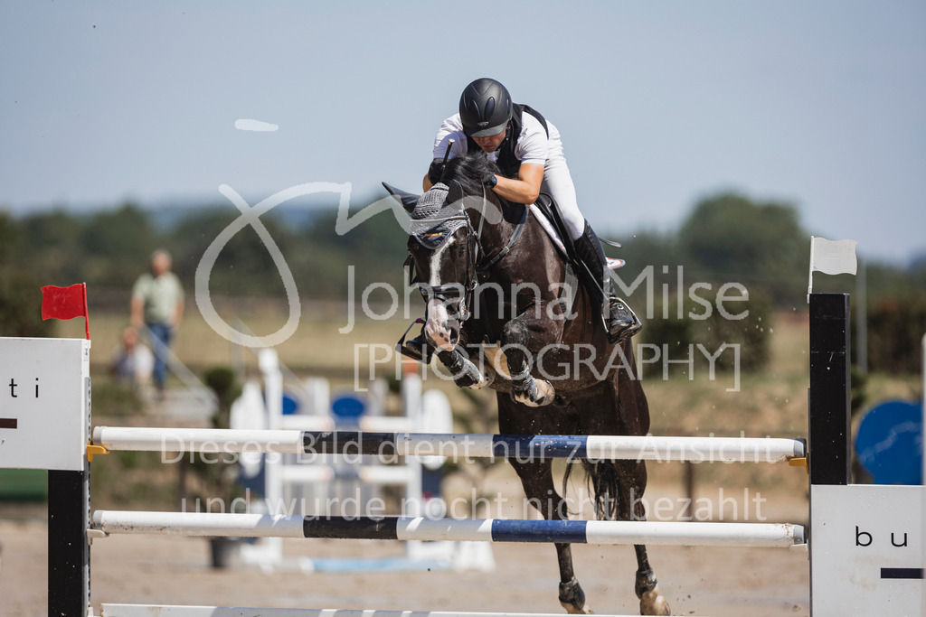 240629_LüPfSpTa_Youngster-S-117 | Deine schönsten Turniermomente als professionelle Fotos! Entdecke hochwertige Pferdesport-Fotografie im Online-Shop. Jetzt Fotos finden & bestellen!