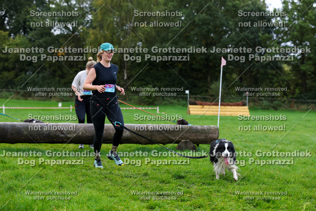 Dog Paparazzi -  SD1026-1309 | Dog Paparazzi Jeanette Grottendiek Fotografie & Videografie - Realisiert mit Pictrs.com