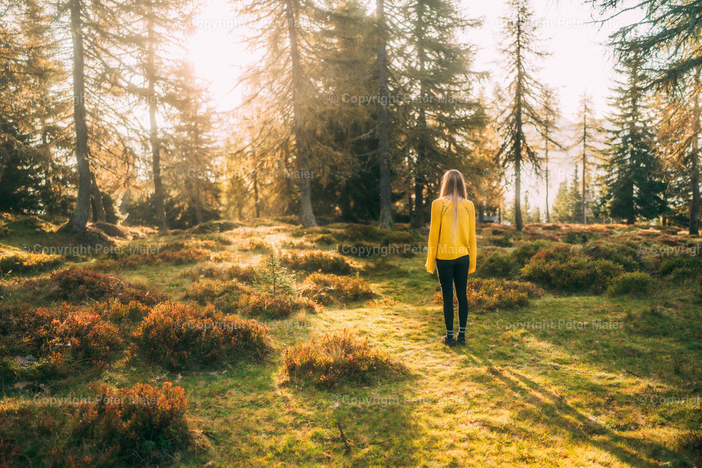 Roana_Alm_Herbststimmung_Erlebnisraum_Wald_23_Peter_Maier-618 | piet_flosse