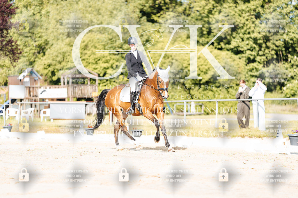 CK900024 | Turnierfotografie Pferdefotografie Trier Rheinland-Pfalz Pferdesport Reitsport Tierfotografie Sportfotografie Pferdevideo Pferdevideografie Equestrianvideography equestrianphotography  - Realisiert mit Pictrs.com