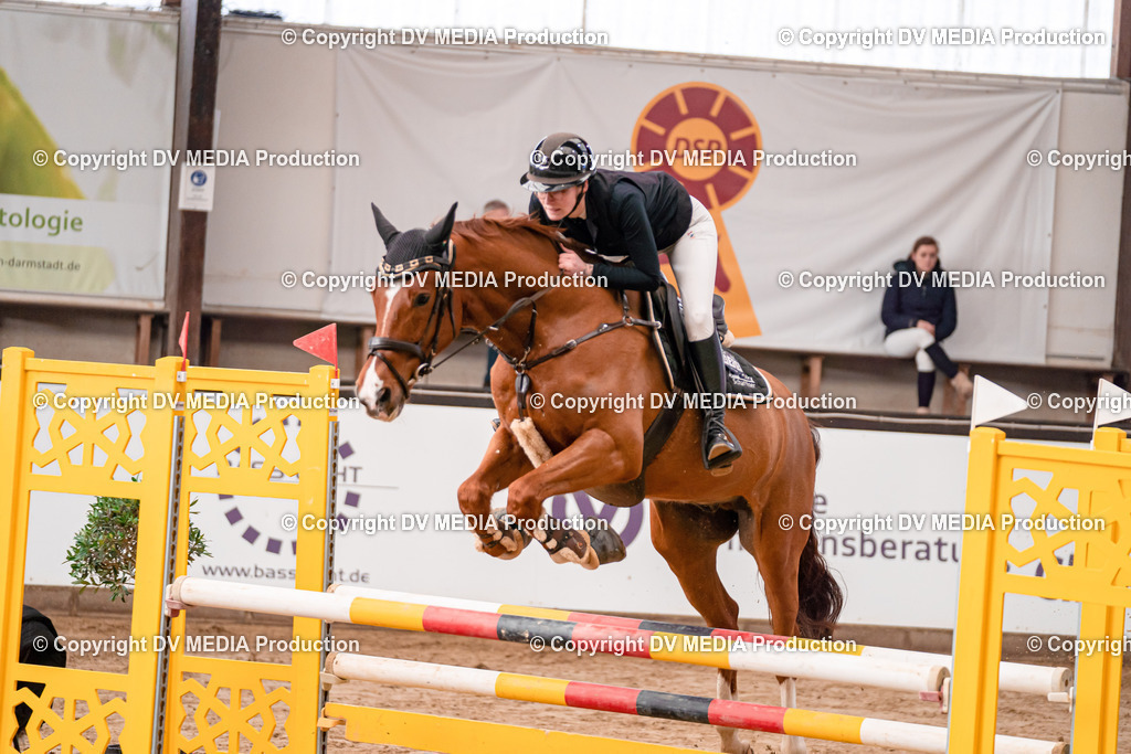 Kranichstein II Tag 2-435 | dv-media-shop - Realisiert mit Pictrs.com