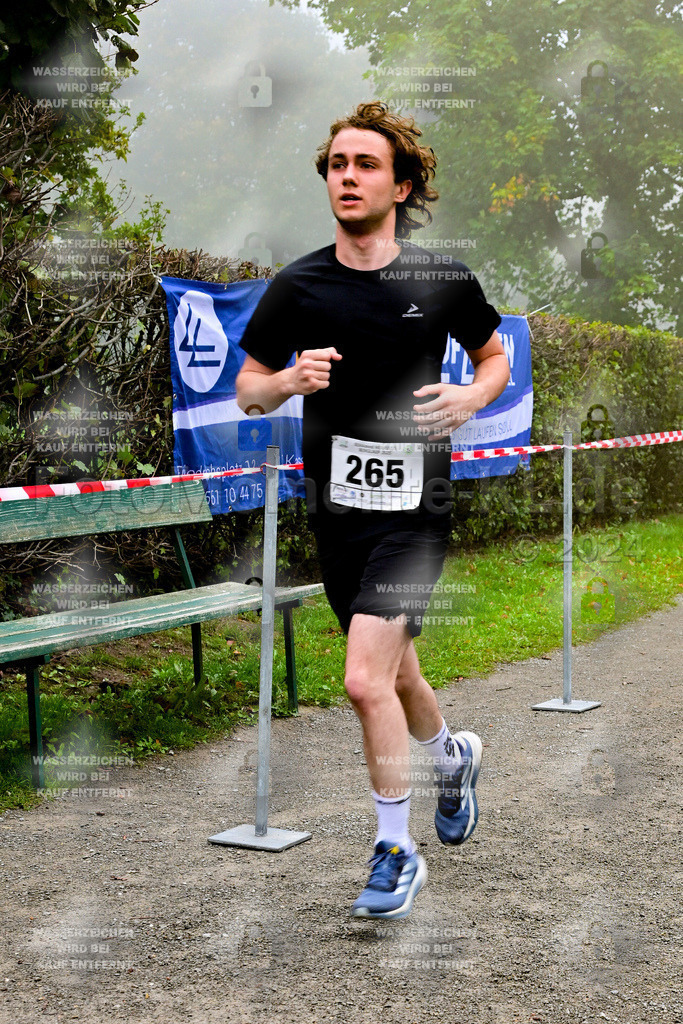 Z8N_2212 | la-psv - Realisiert mit Pictrs.com