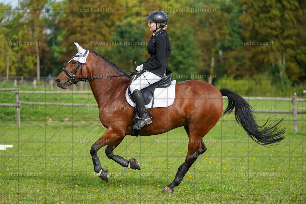 20230917-FAH09142 | Landsberg am Lech, 2023, Kaufbeuren, Kempten, Allgäu, Turnierfotografen Bayern, Fotoagentur Herrmann, Turnierbilder, Reitsport Fotos, Pferdefotograf, Augsburg, Bad Tölz, Dachau, Karlsfeld, Memmingen, Buchloe, Schwabmünchen