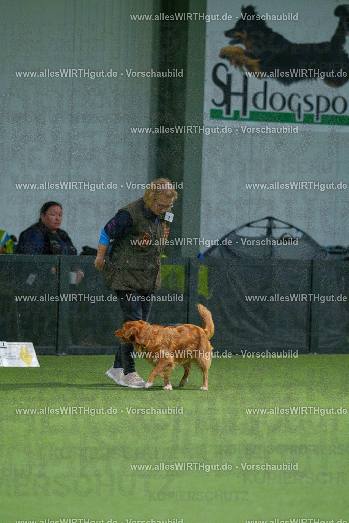 7R509626 | Professionelle Tierfotografie in Mönchengladbach von Daniel Wirth (allesWIRTHgut). Liebevolle & natürliche Bilder von Hunden & Katzen für unvergessliche Erinnerungen.