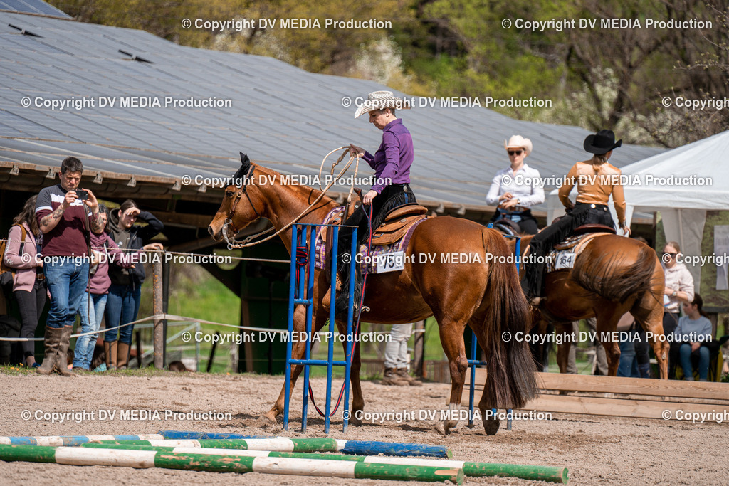 BAL02390 | dv-media-shop - Realisiert mit Pictrs.com