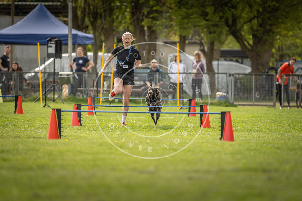 Pfotenfotografie_DV3A6074 | Hundefotografie, Tierfotograf, Pfotenfotografie, Fotoshooting Hund, Hunde Portrait, Hundesport, Hundeportraits, Heideshooting, Hunde, Sportfotograf, Hundefotograf, Turnierhundsport, THS,  - Realisiert mit Pictrs.com