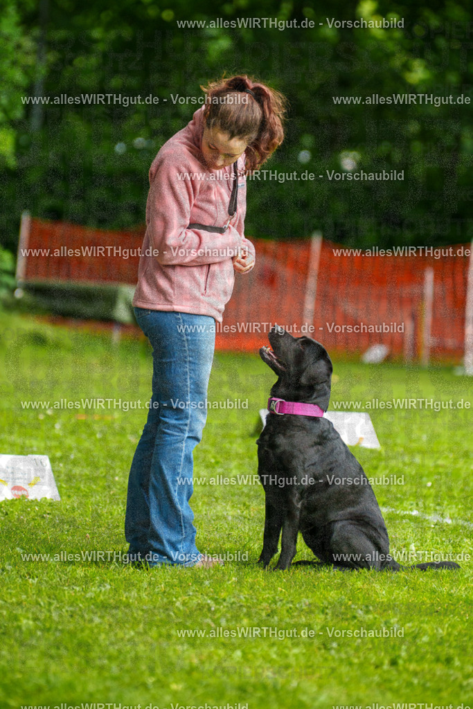 @allesWIRTHgut_Tierfotografie - www.allesWIRTHgut.de - 7R503141 | Professionelle Tierfotografie in Mönchengladbach von Daniel Wirth (allesWIRTHgut). Liebevolle & natürliche Bilder von Hunden & Katzen für unvergessliche Erinnerungen.